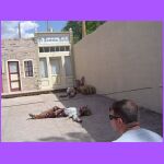 Dead In the Strets.jpg